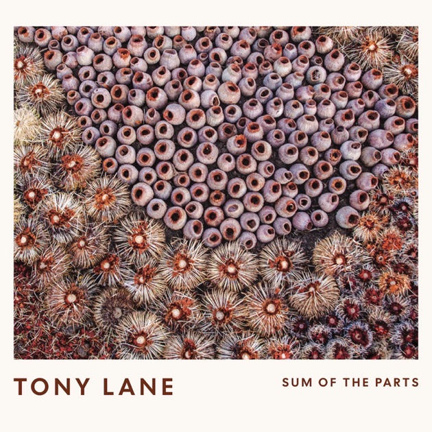 Sum of the Parts - Album by Tony Lane